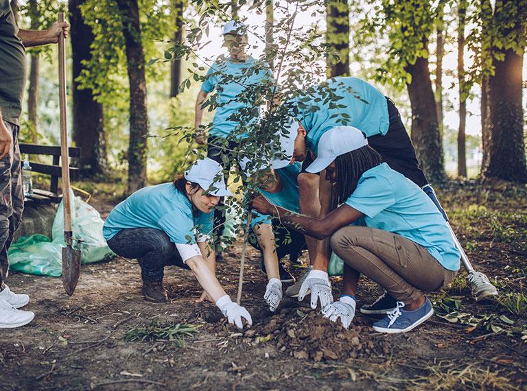 Charity tree planting small